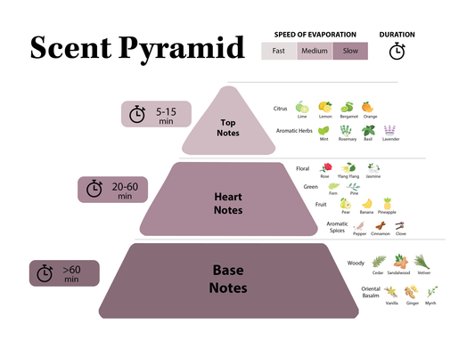 Top, Heart, Base - What Does It All Mean?!
