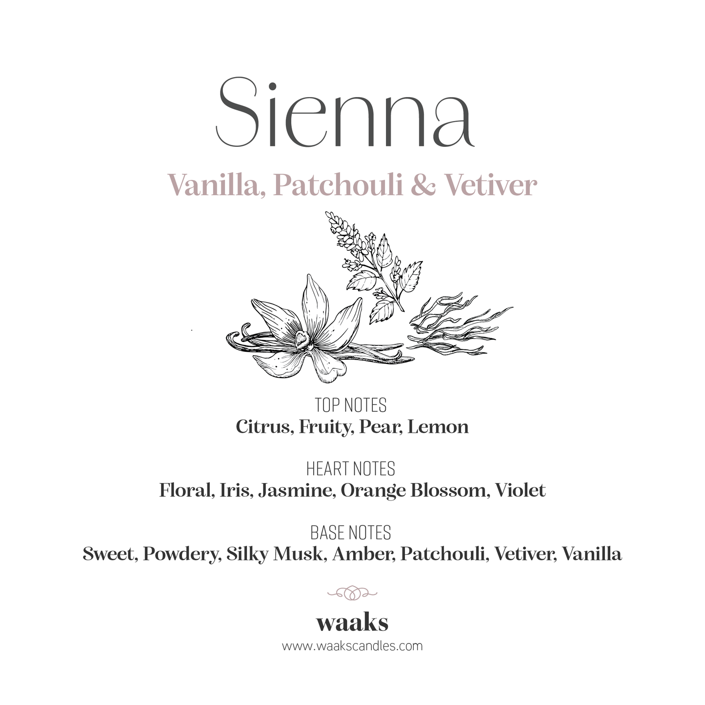 Sienna | Wax Melts ( Pack of 4)